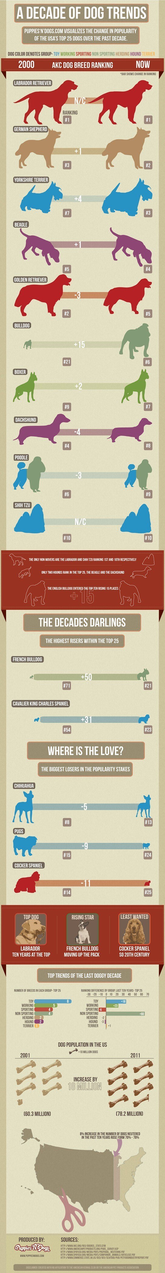 Puupsndogs-final-infographic