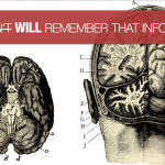 Your Brain Loves Infographics
